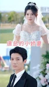 唐总的小娇妻(全集)