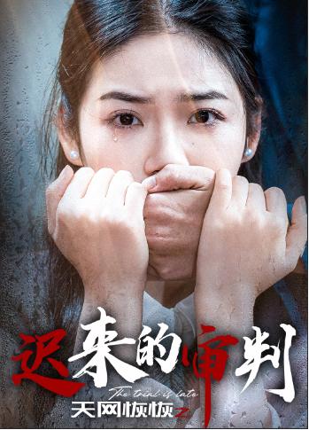 天网恢恢之迟来的审判(全集)