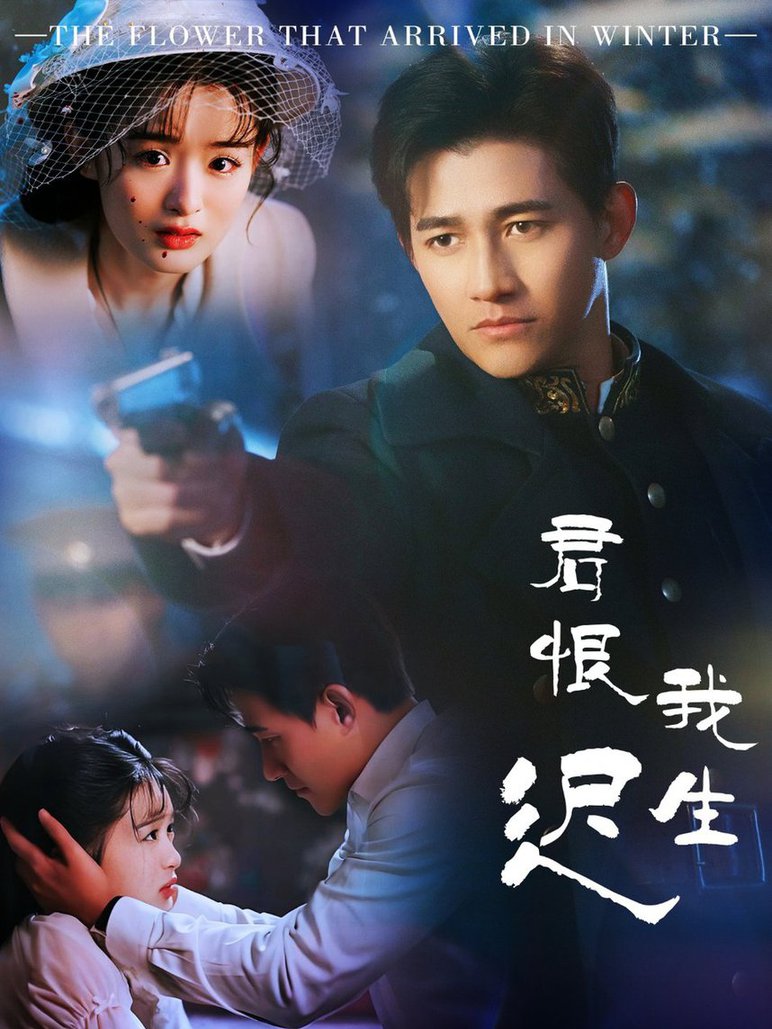 君恨我生迟 司令府就是我的家(全集)