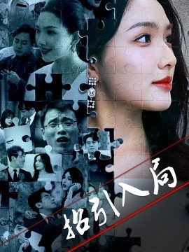 招引入局(全集)