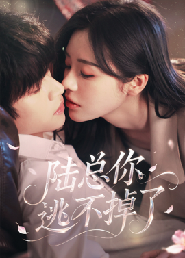 陆总你逃不掉了 爱意难逃(全集)