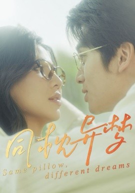 同枕异梦(全集)