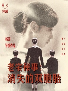 老宅秘事消失的双胞胎 消失的孩子(全集)